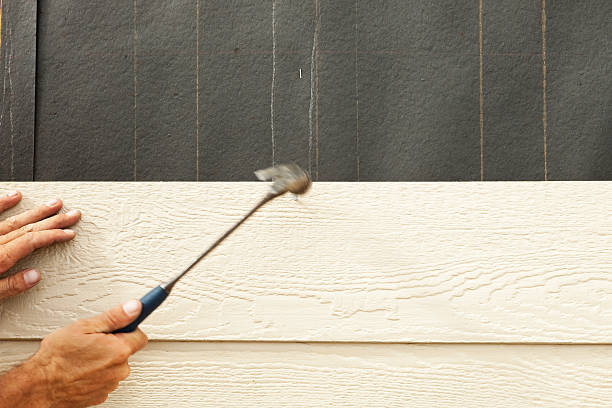 Best Stucco Siding  in Murphysboro, IL